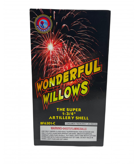 WONDERFUL WILLOW
